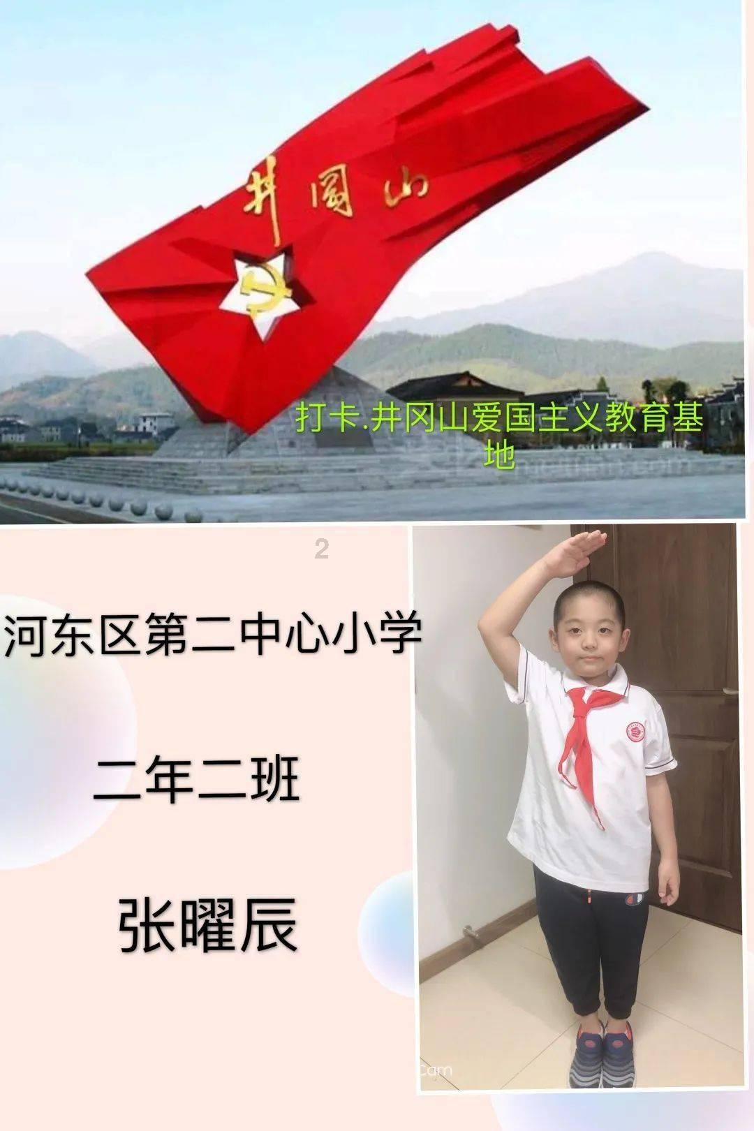 助推乡村振兴!甘肃省陇南市武都区油橄榄产业稳步发展